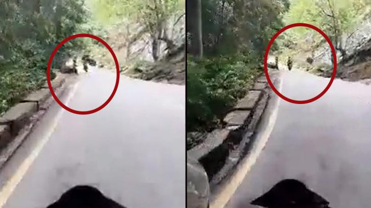 Viral Video: యమపాశంలా దూసుకువచ్చిన బండ రాయి.. కొండపై నుంచి వచ్చిన మృత్యువు