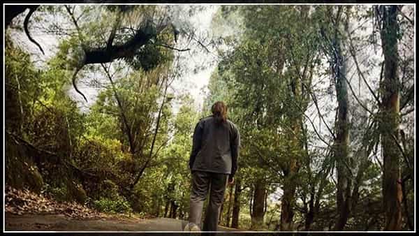 Viral Photo: ప్రకృతి అందాల నడుమ అందాల రాశి.. ఈ క్రేజీ హీరోయిన్ ఎవరో గుర్తుపట్టండి..