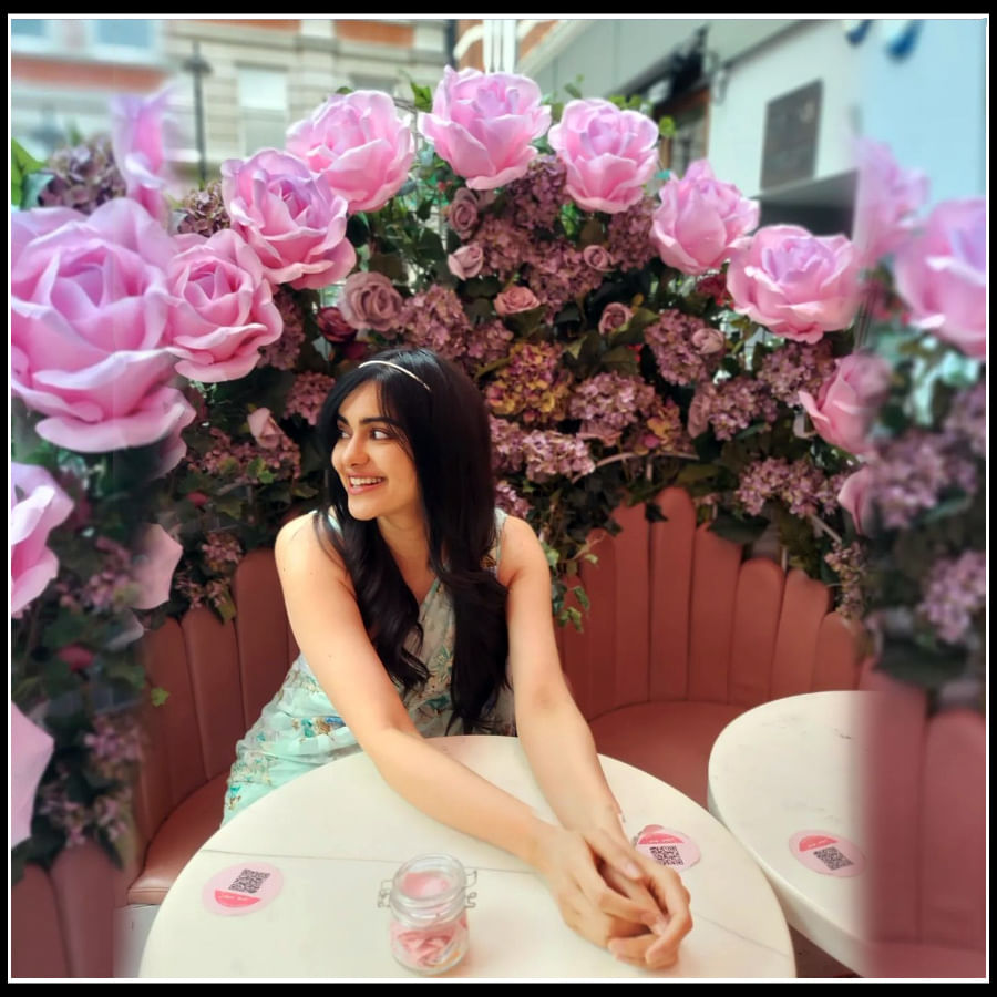 రంగు రంగులా పులా మధ్య అదాశర్మ అందాలు 