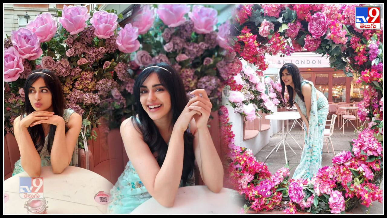 రంగు రంగులా పులా మధ్య అదాశర్మ అందాలు 