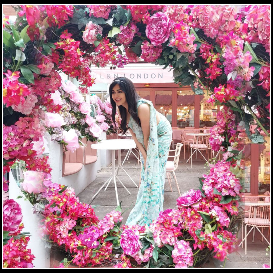 రంగు రంగులా పులా మధ్య అదాశర్మ అందాలు 