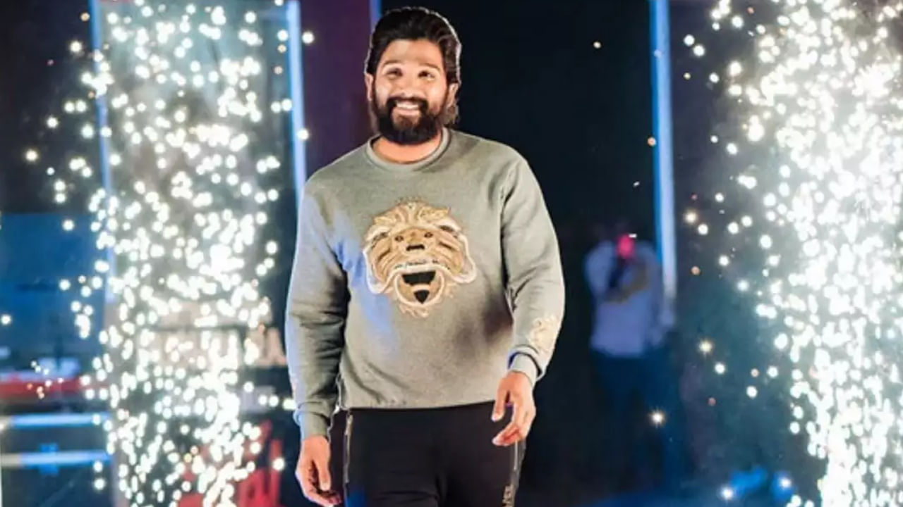 Happy Birthday Allu Arjun: కెరీర్ బిగినింగ్ నుంచి క్రేజ్ తగ్గిందే లే.. ఇండస్ట్రీకి 'సరైనోడు'