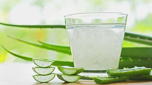 Aloe Vera Shampoo: వేసవిలో కలబంద షాంపూతో జట్టు సమస్యలకు చెక్.. ఇంట్లోనే ఇలా తయారు చేసుకోండి