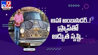 Viral Video: నిన్ను వదిలే సమస్యే లేదు.. ఉడుతతో పిల్లి పంచాయితీ