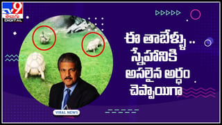 Viral Video: తొలి రాత్రి వధువు చెప్పిన నిజంతో ఖంగుతిన్న వరుడు షాకింగ్‌ నిర్ణయం.. అంతా కొలాప్స్‌..