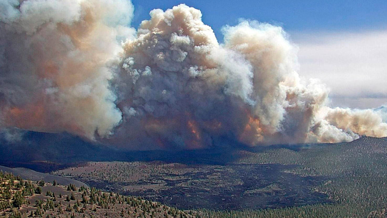 Arizona Wildfire: ఆరిజోనాను వణికిస్తున్న కార్చిచ్చు.. కార్చిచ్చుకు 25 ఇళ్ల, భవనాలు దగ్దం..