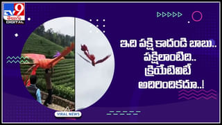 Mother House Arrest: దారుణం.. ఇంటిలో వివస్త్రగా.. కన్నతల్లిని పదేళ్లు బంధించిన కర్కోటకులు..!