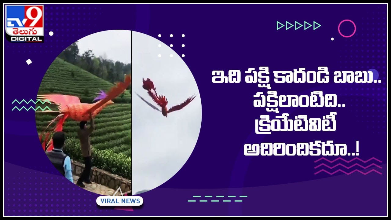 Artificial Bird: ఇది పక్షి కాదండి బాబు.. పక్షిలాంటిది.. క్రియేటివిటీ అదిరిందికదూ..!