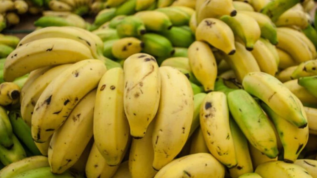 Banana Benefits: అరటి పండుతో ఈజీగా బరువు తగ్గొచ్చు.. ఇంకా మరెన్నో ఆరోగ్య ప్రయోజనాలు..