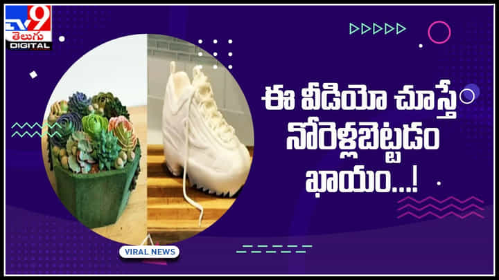 Different Cakes: ఈ వీడియో చూస్తే నోరెళ్లబెట్టడం ఖాయం..! మైండ్ పోయే విజువల్స్.. Different Cakes: ఈ వీడియో చూస్తే నోరెళ్లబెట్టడం ఖాయం..! మైండ్ పోయే విజువల్స్..