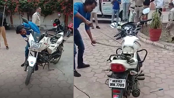 Viral Video: బైక్ నుంచి వింత శబ్దాలు.. భయంతోనే చెక్ చేస్తుండగా గుండె గుభేల్.!