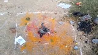 Venkaiah Naidu: పంచాయతీ నుంచి పార్లమెంట్‌ దాకా.. ప్రజాప్రతినిధుల వాడుతున్న భాషపై సమీక్ష జరగాలిః వెంకయ్య నాయుడు