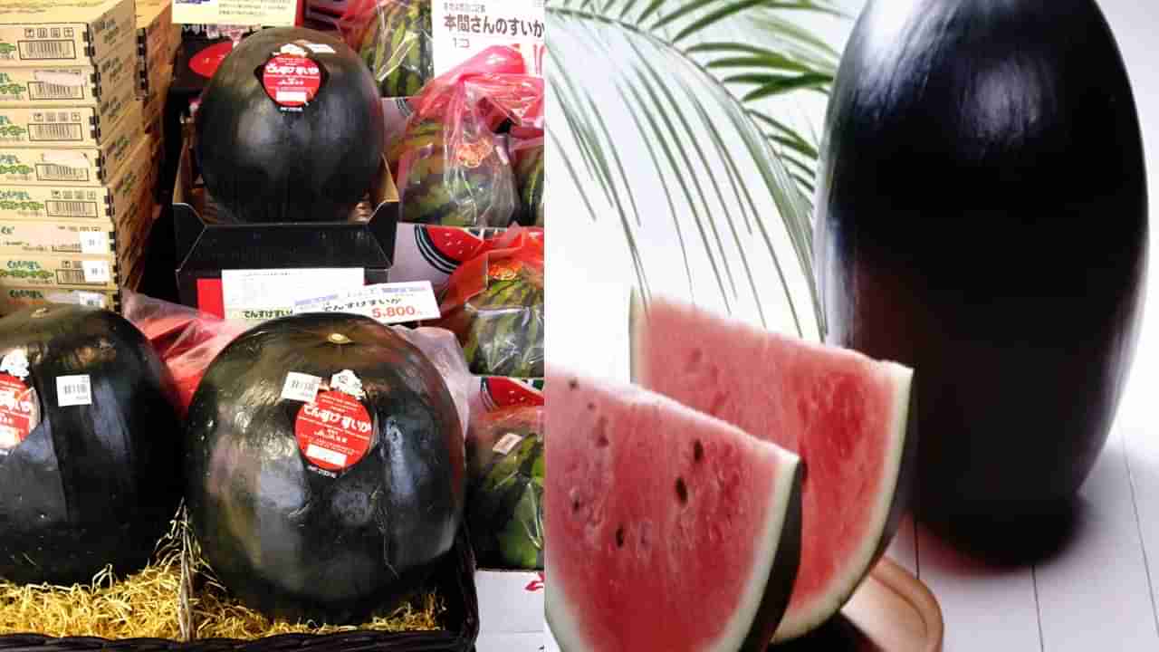 Expensive Watermelon: ప్రపంచంలో అరుదైన నల్లని పుచ్చకాయ.. దీని ధర తెలిస్తే మతిపోవాల్సిందే