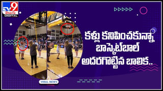 Viral Video: పక్షి అనుకుంటే పప్పులో కాలేసినట్టే.. ఏం క్రియేటివిటీ గురూ.. వీడియో వైరల్