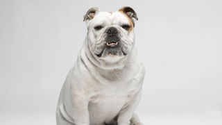 Viral Video: వారేవా ఇది కదరా స్నేహమంటే.. దివ్యాంగుడిని భుజాలపై తిప్పిన గర్ల్స్‌.. వైరల్ వీడియో