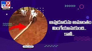 కారు చూస్తే అద్భుతం !! అసలు విషయం తెలిస్తే మైండ్ బ్లాంక్ !!