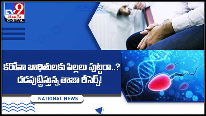 Corona Victims: కరోనా బాధితులకు పిల్లలు పుట్టరా..? దడపుట్టిస్తున్న తాజా రీసెర్చ్‌..!