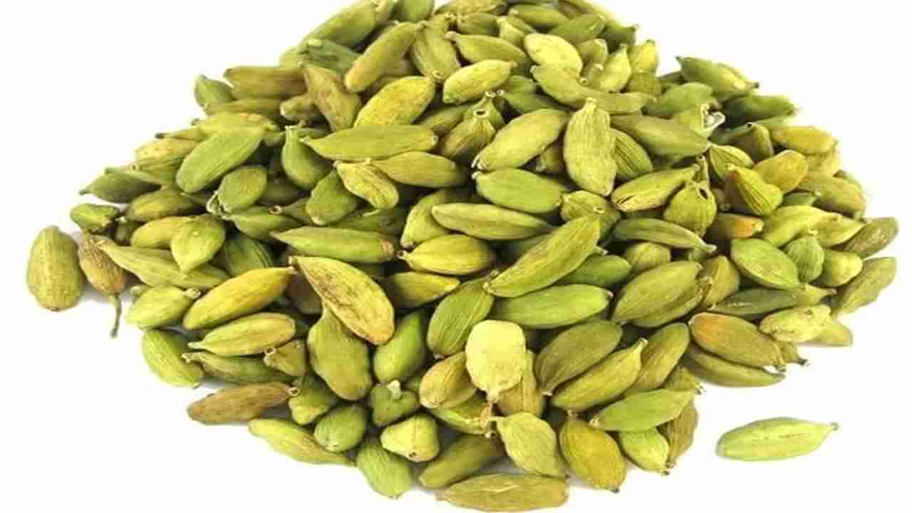 Cardamom Benefits: యాలకులలో అద్భుత ఔషధ గుణాలు.. ఈ 7 ప్రయోజనాలు తెలిస్తే అస్సలు వదలరు..!