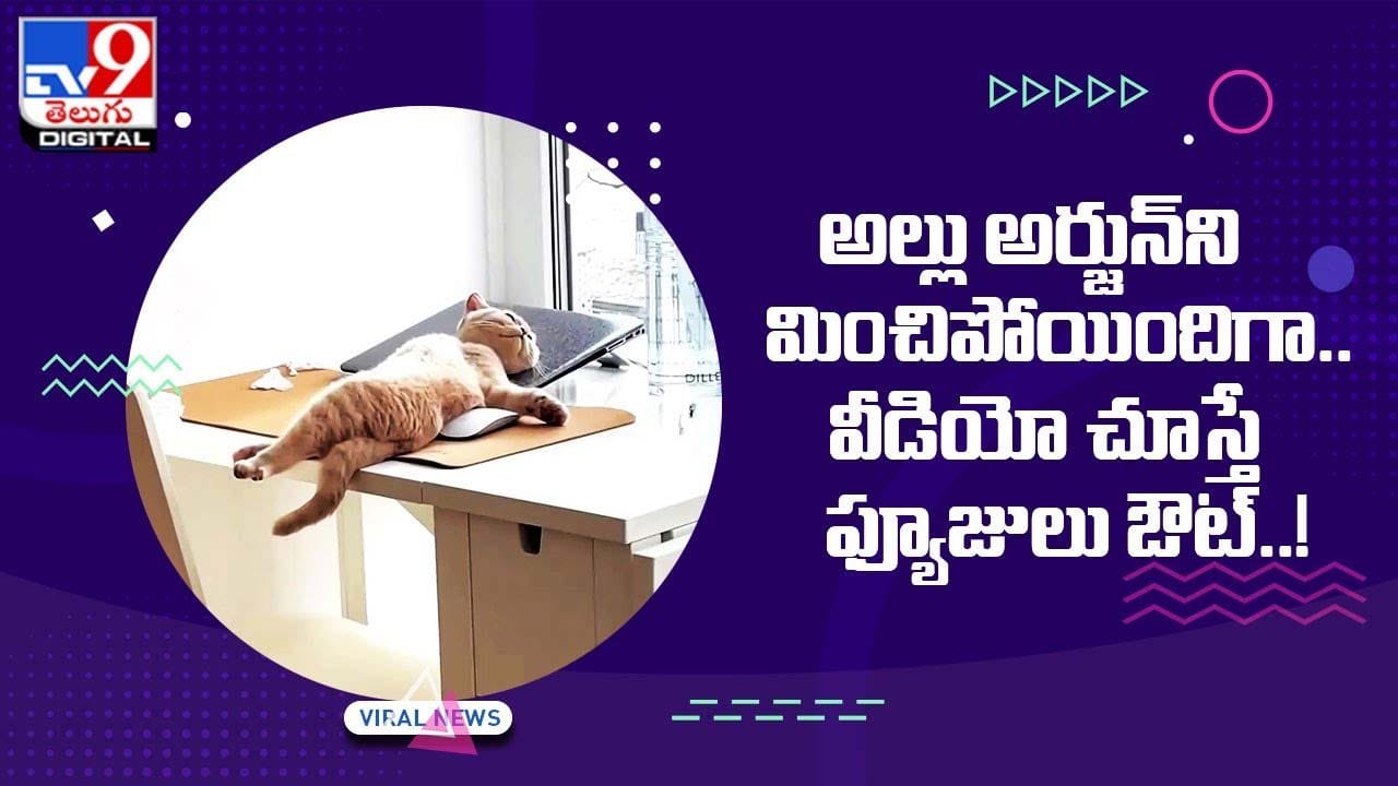 అల్లు అర్జున్ని మించిపోయిందిగా !! వీడియో చూస్తూ ఫ్యూజులు ఔట్ !! అల్లు అర్జున్ని మించిపోయిందిగా !! వీడియో చూస్తూ ఫ్యూజులు ఔట్ !!