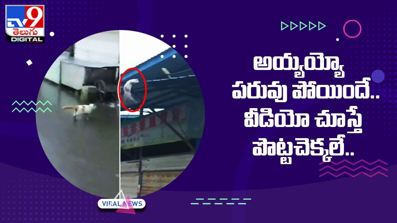 Viral Video: అయ్యయ్యో పరువు పోయిందే.. వీడియో చూస్తే పొట్టచెక్కలే