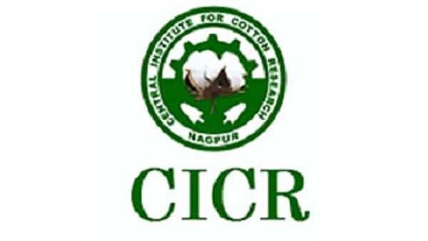 ICAR - CICR Recruitment 2022: ఇంటర్వ్యూ ద్వారా ఎంపిక..సెంట్రల్ ఇన్స్టిట్యూట్ ఫర్ కాటన్ రీసెర్చ్లో ప్రాజెక్ట్ స్టాఫ్ ఖాళీలు..