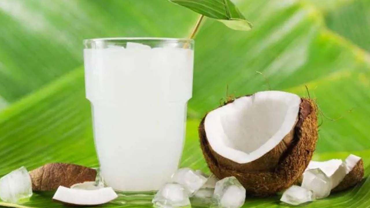 Coconut Water Benefits ప్రతిరోజూ ఒక్క గ్లాస్ కొబ్బరి నీళ్లు తాగితే