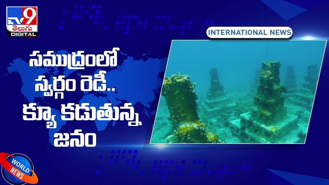 Coral Reefs: సముద్రంలో స్వర్గం రెడీ !! క్యూ కడుతున్న జనం !!