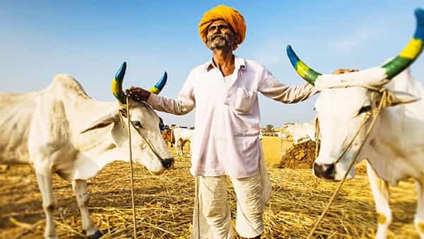 Cows Online: ట్రెండ్ మారింది.. ఆన్లైన్లో ఆవులు, గేదెల అమ్మకాలు షురూ..