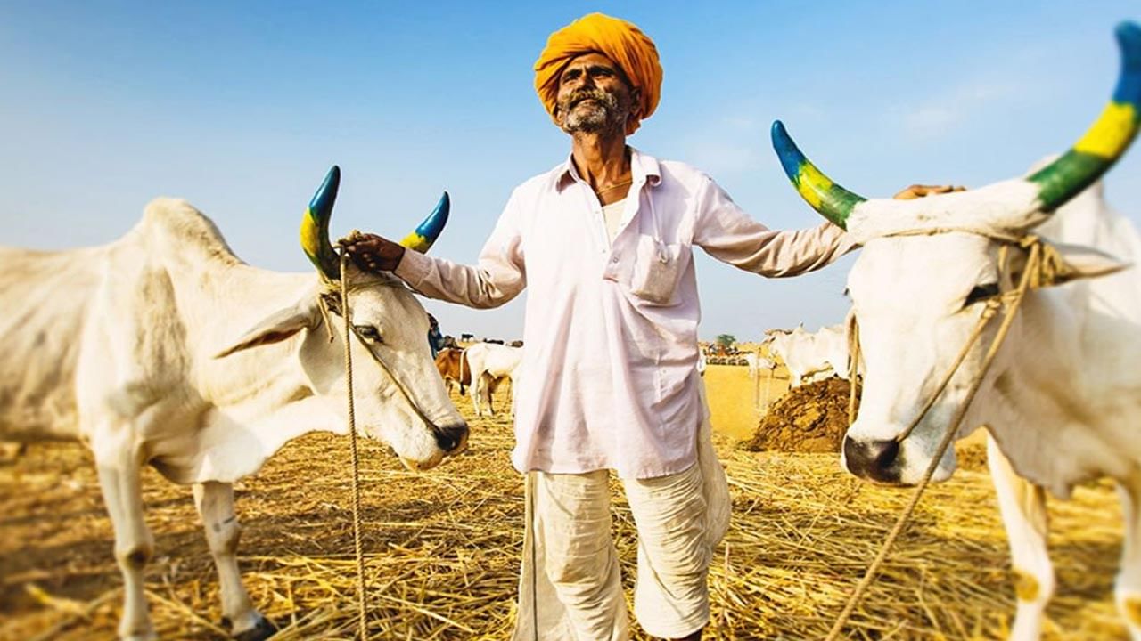 Cows Online: ట్రెండ్ మారింది.. ఆన్‌లైన్‌లో ఆవులు, గేదెల అమ్మకాలు షురూ..