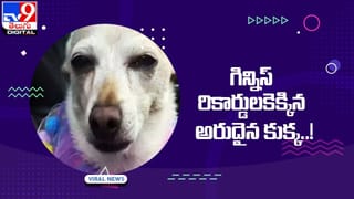 ఇది కదా ఆత్మవిశ్వాసం అంటే !! నెట్టింట వీడియో వైరల్‌