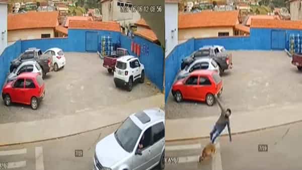 Viral Video: రోడ్డు దాటుతున్న ఓ వ్యక్తిని ఢీ కొట్టి పారిపోతున్న కుక్క.. హిట్ అండ్ రన్ కేసు నమోదు చేయమంటున్ననెటిజన్లు