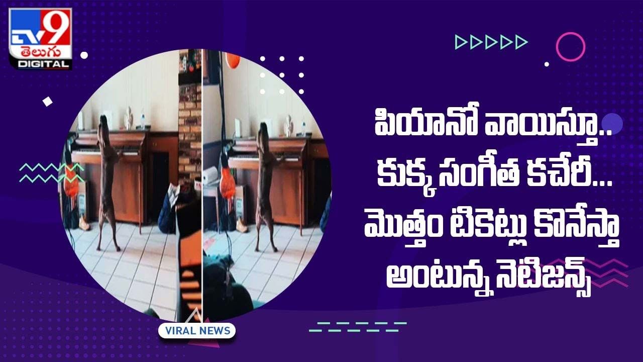 Viral Video: పియానో వాయిస్తూ పాటపాడిన శునకం.. నెటిజన్లు ఫిదా