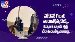 మెదడులో ‘రహస్య సొరంగాలు’ గుర్తించిన శాస్త్రవేత్తలు !!