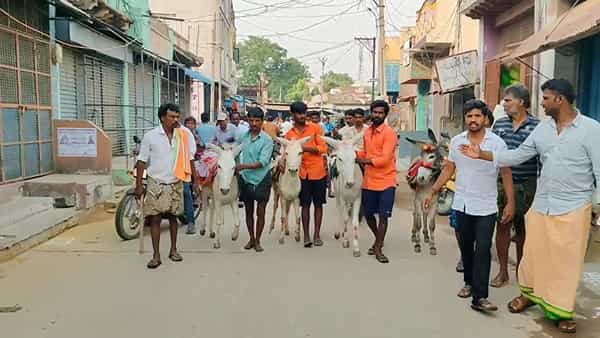 Andhra Pradesh: ఇలాంటి రేస్ నెవ్వర్ బిఫోర్.. ఎవ్వర్ ఆఫ్టర్.. వీడియో చూస్తే మతిపోవాల్సిందే..!