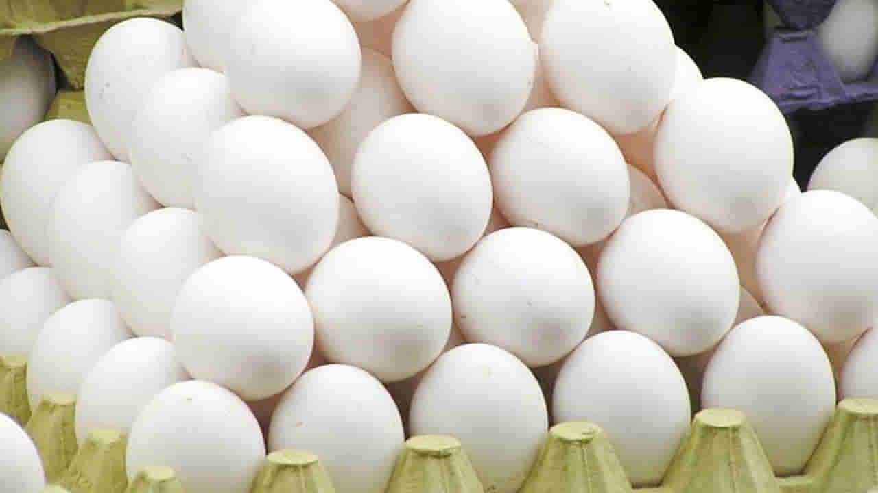 Egg Prices: పడిపోతున్న కోడిగుడ్డు ధరలు.. కొండెక్కుతున్న చికెన్ రేట్లు