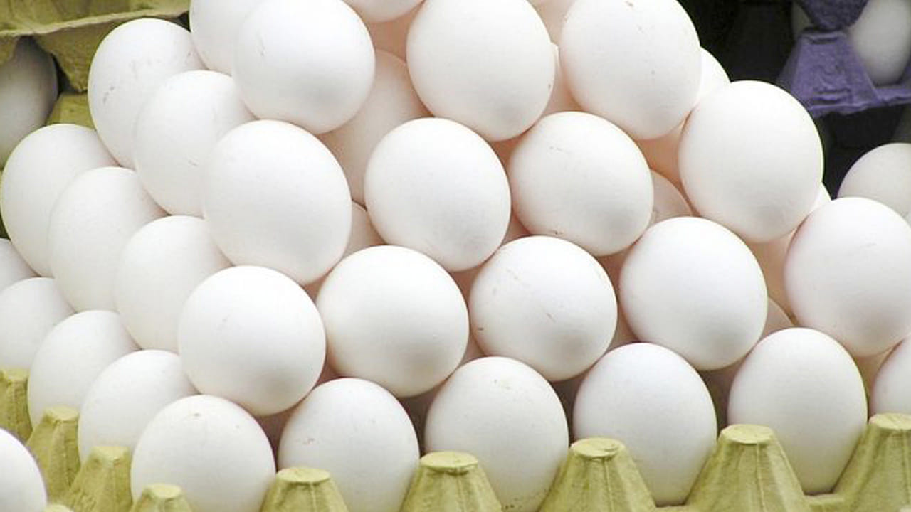 Egg Prices: పడిపోతున్న కోడిగుడ్డు ధరలు.. కొండెక్కుతున్న చికెన్ రేట్లు