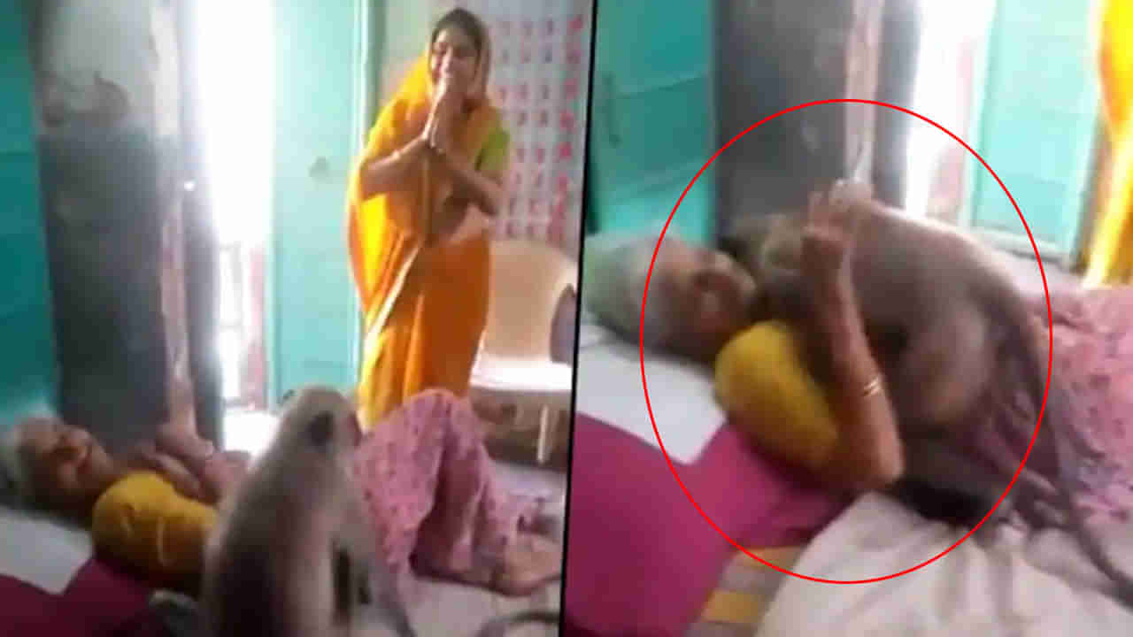 Viral Video: ఎక్కడి నుంచి వచ్చిందో ఏమో.. అమ్మను ముద్దాడింది.. వెళ్లిపోయింది.. వీడియో చూస్తే మీరు అదే అంటారు..