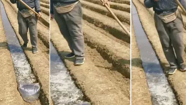 Viral Video: ఈ రైతు చాలా స్మార్ట్ గురూ.. పొలం పనుల్లో సరికొత్త ప్రయోగం.. మీకూ ఉపయోగపడొచ్చు ఓ లుక్కేయండి..!