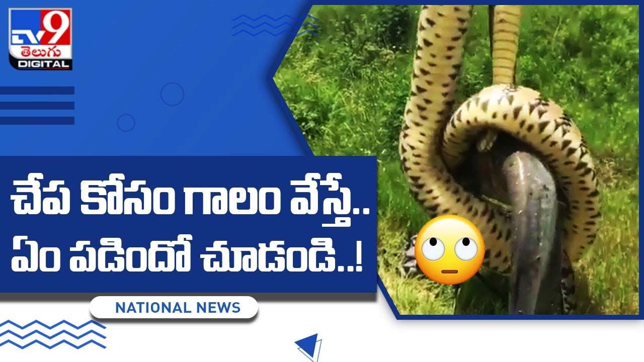 Viral Video చేప కోసం గాలం వేస్తే.. ఏం పడిందో చూస్తే షాక్ అవుతారు