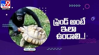 Know This: ప్రపంచంలో అత్యంత బరువైన చిలుక గురించి మీకు తెలుసా ??