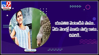 Viral Video: నువ్వు నన్నేం చెయ్యలేవురా..! చిరుతకు జింక వార్నింగ్‌.. వీడియో చుస్తే షాక్ అవ్వాల్సిందే..!