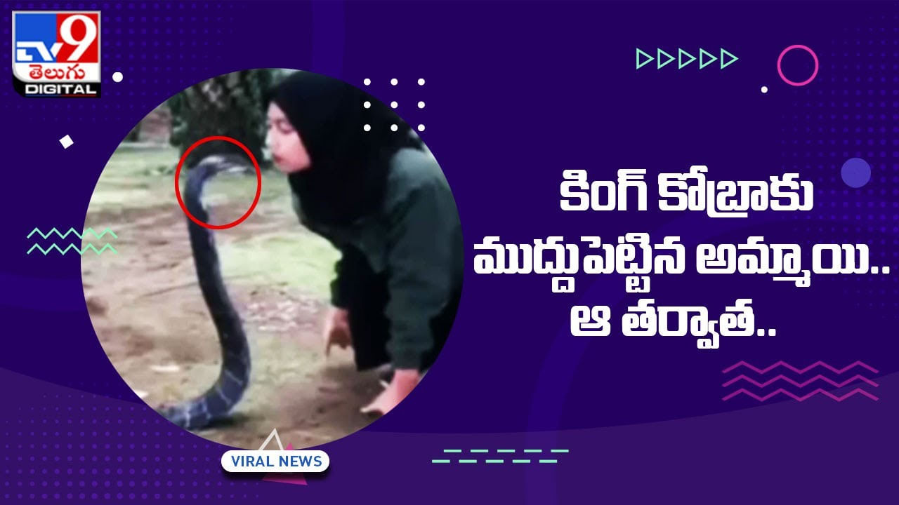 Viral Video: కింగ్ కోబ్రాకు ముద్దుపెట్టిన అమ్మాయి !! ఆ తర్వాత ??