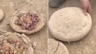 Know This: ప్రపంచంలో అత్యంత బరువైన చిలుక గురించి మీకు తెలుసా ??