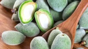 Green Almonds: ఆకుపచ్చ బాదంతో అనేక లాభాలు.. ఈ సమస్యలతో బాధపడేవారికి దివ్య ఔషధం..!