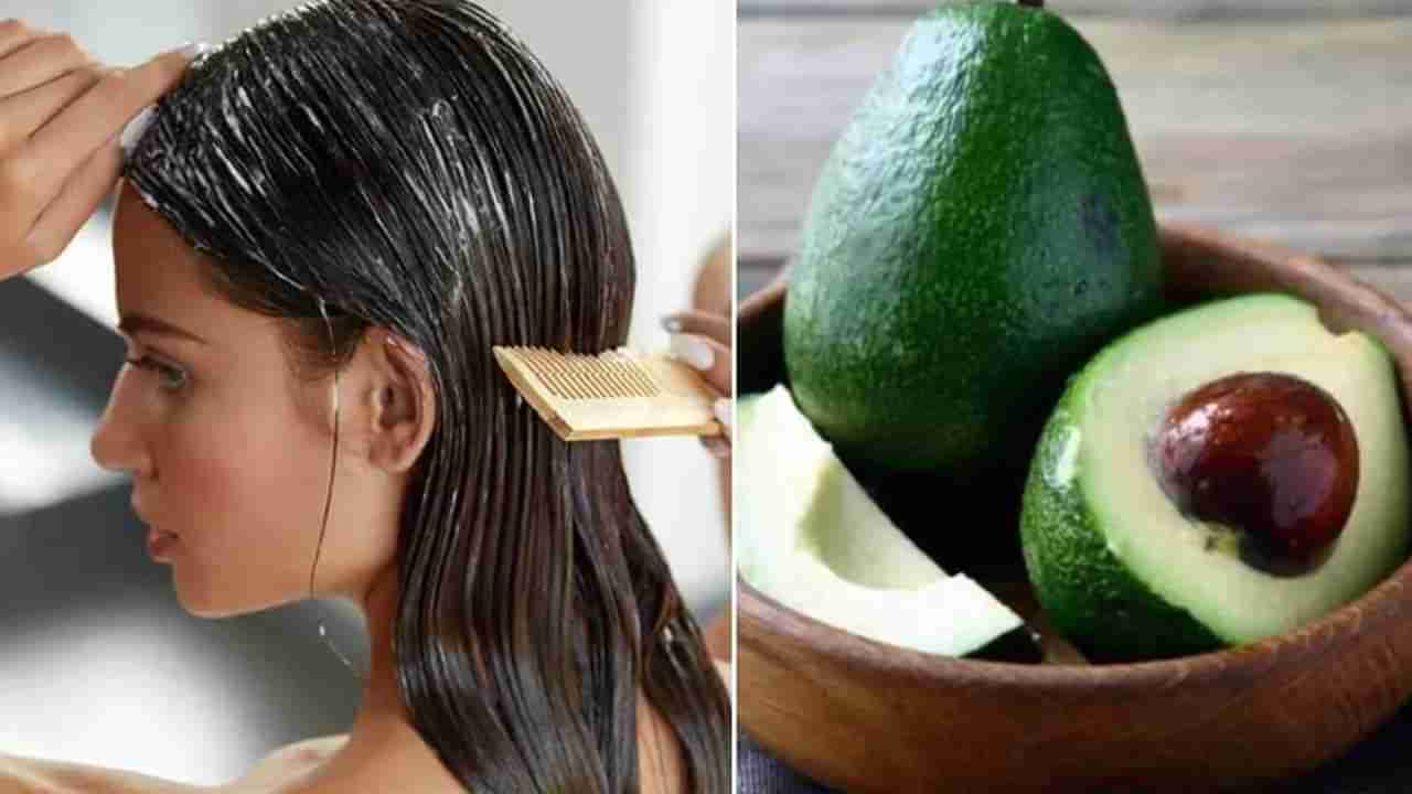 Avocado for Dry Hair: అవకాడోతో జుట్టు సమస్యలకు చెక్.. బలమైన, మృదువైన కేశాల కోసం ఇలా చేయండి..