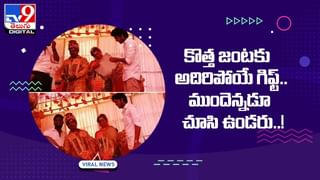Viral Video: కింగ్ కోబ్రాకు ముద్దుపెట్టిన అమ్మాయి !! ఆ తర్వాత ??