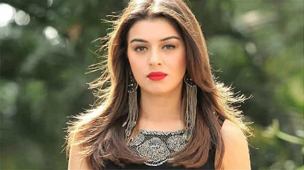 Hansika Motwani : ఆవార్తల్లో ఎలాంటి నిజం లేదు.. అసలు విషయం చెప్పిన హన్సిక..
