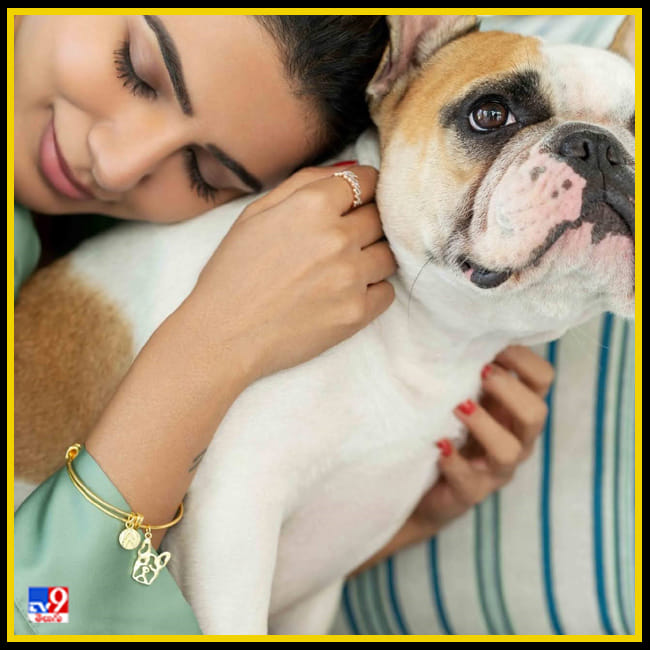 అందాలతో ఆకట్టుకుంటున్న బర్త్ డే  బ్యూటీ 