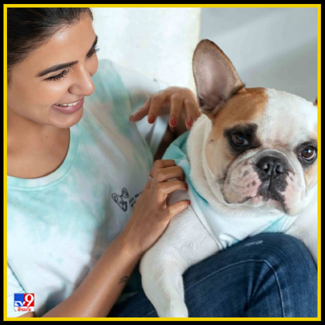 అందాలతో ఆకట్టుకుంటున్న బర్త్ డే  బ్యూటీ 