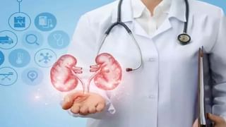 Liver Health: పెరుగుతున్న కాలేయ వ్యాధులు.. ఆరోగ్యంగా ఉండాలంటే ఈ పదార్థాలకు దూరంగా ఉండండి..